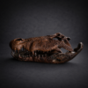 Leadwood Crocodile Skull